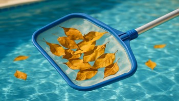 Havuz yüzeyindeki yaprakları toplayan ağ